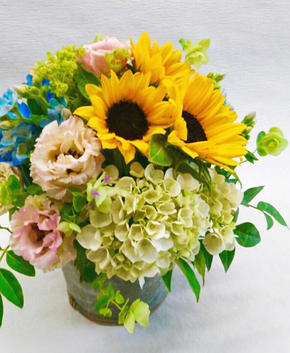 夏を代表する花で、明るく涼やかに