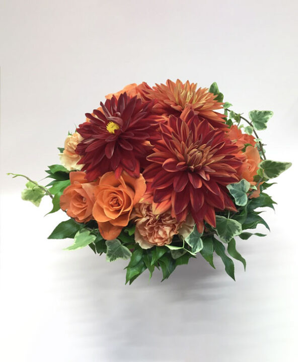 気品の有るオレンジ